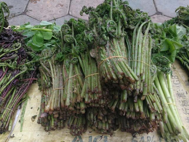 吉林巷弄深处的独特魅力，一家特色小店的惊喜之旅