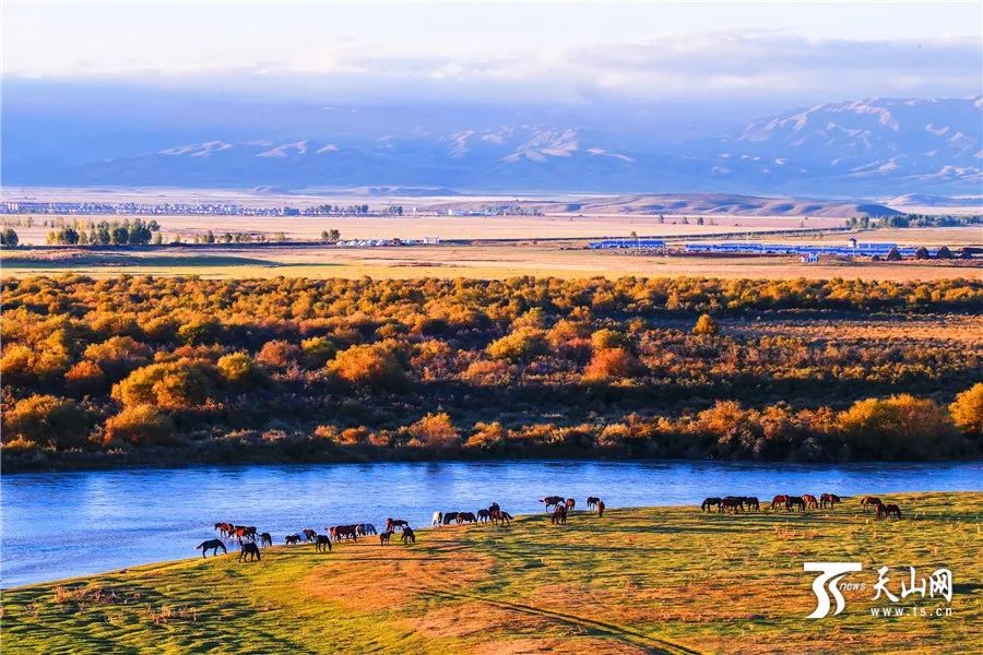 探寻西域之美，新疆行吟之旅