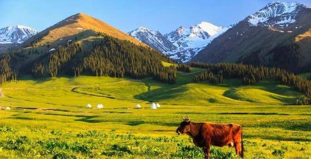 探寻西域之美,新疆行吟之旅